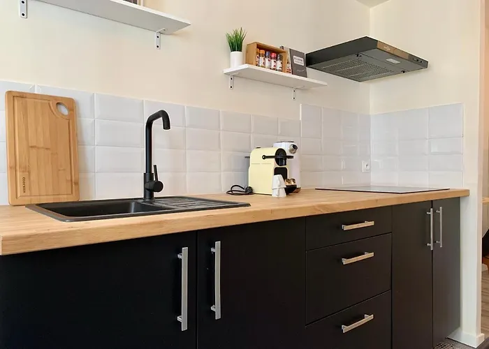 Voltaire - Centre Appartamento