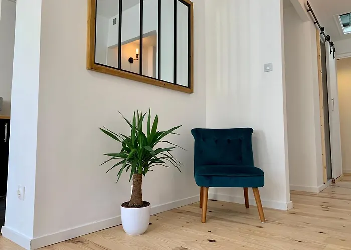 Voltaire - Centre - Netflix *